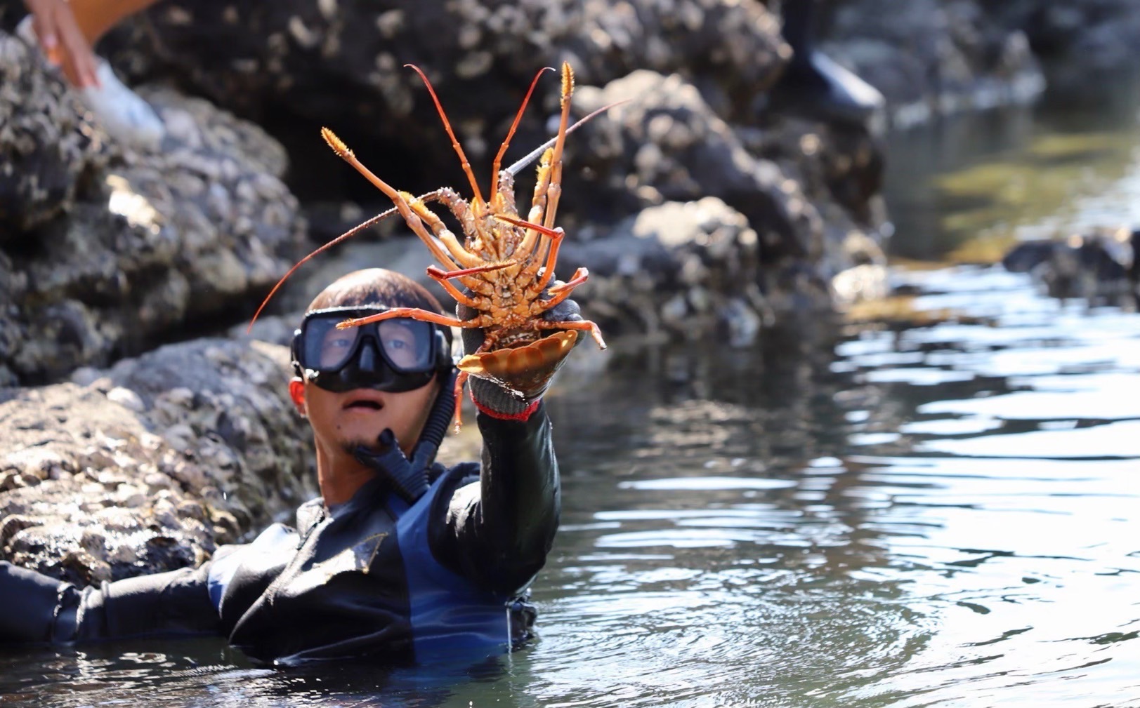 龍蝦島（毛司嶼）｜揭開澎湖最神秘無人島的面紗