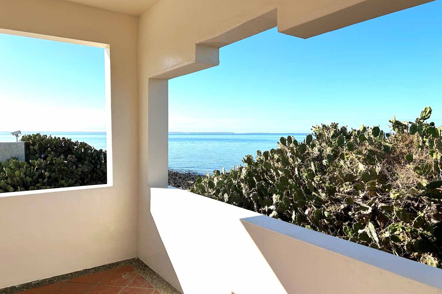 探索民宿旁潮間帶秘境